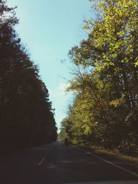 Road passing through trees