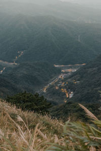 High angle view of trees on landscape