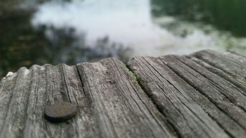 Close-up of wooden plank