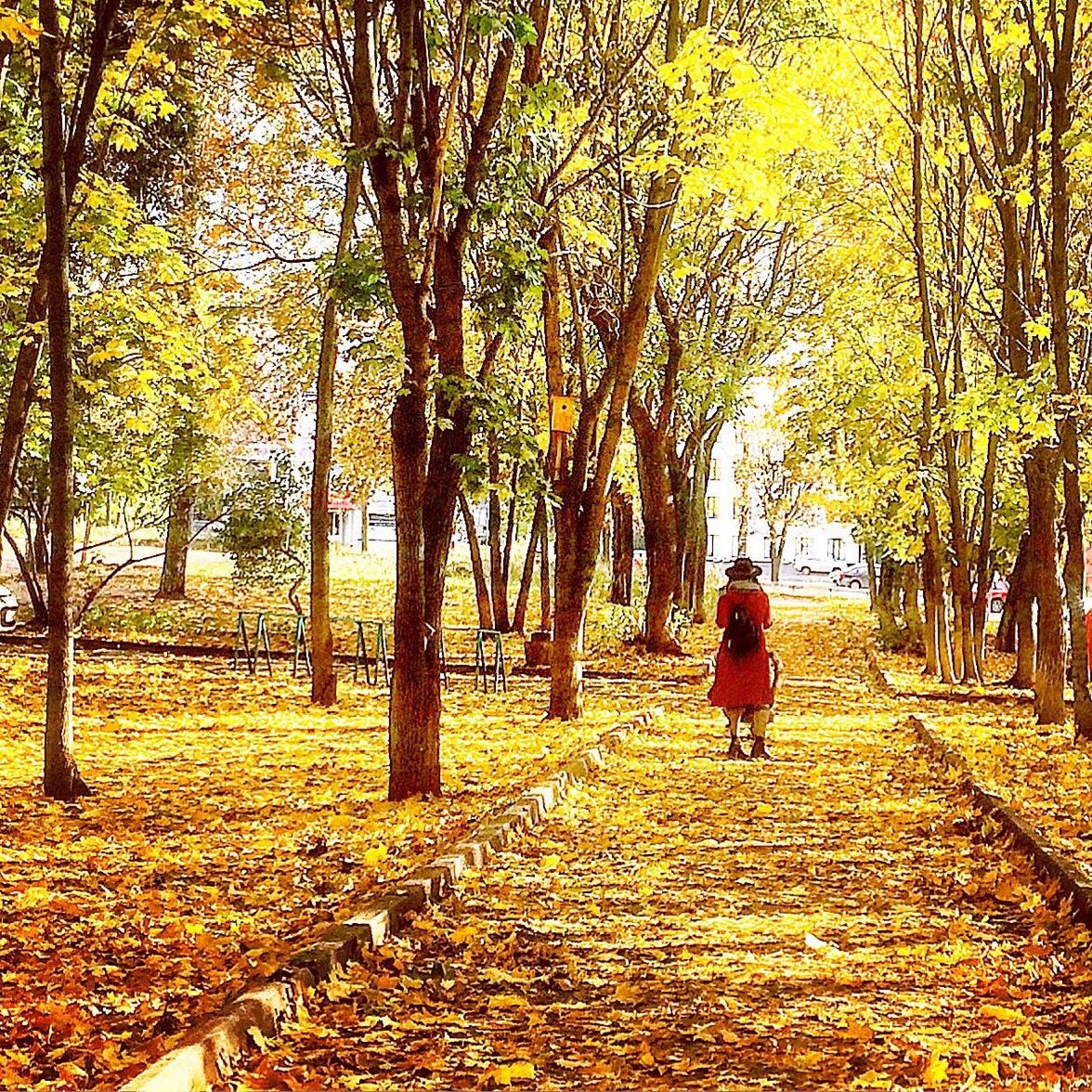 REAR VIEW OF WOMAN WALKING IN AUTUMN TREES