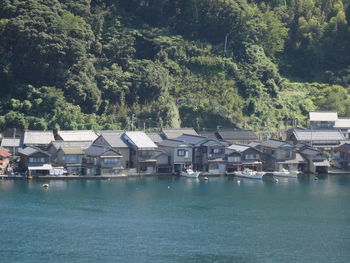 Houses by swimming pool against trees and building