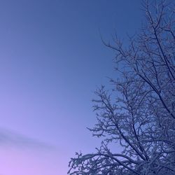 Low angle view of bare trees against clear blue sky