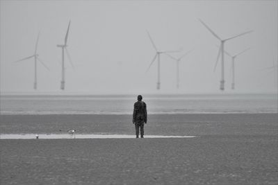 Rear view of man walking on beach