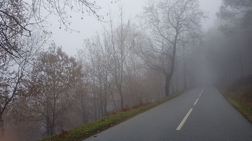 Road amidst bare trees against sky