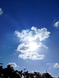 Low angle view of trees against blue sky on sunny day