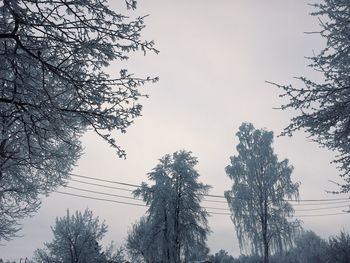 Low angle view of silhouette trees against sky