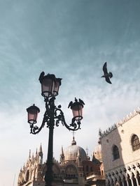 Low angle view of bird flying in city against sky