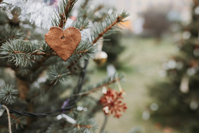 Handmade gingerbread heart shaped cookie decoration on a christmas tree. outdoor no snow background