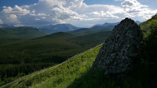 Scenic view of field against sky