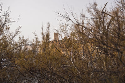 Built structure with trees in background