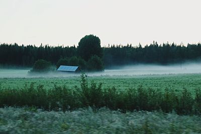 Scenic view of grassy field against sky