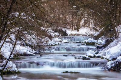 Scenic view of river flowing in forest during winter