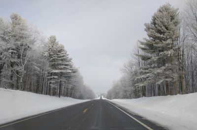 Country road through snow covered trees