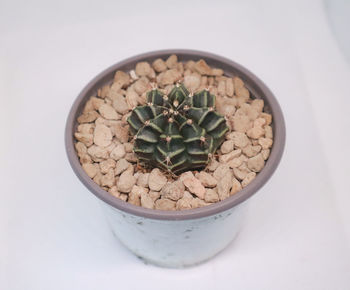 High angle view of food in bowl on table