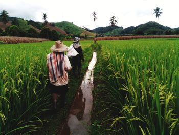 Rear view of man working at farm against sky