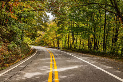 Empty road amidst trees