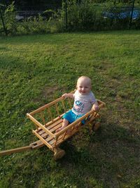 Portrait of cute boy sitting in push cart on field