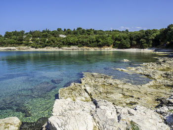 Scenic view of lake against clear sky