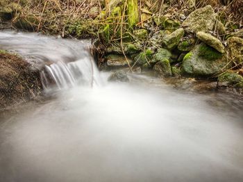 Stream flowing through a forest