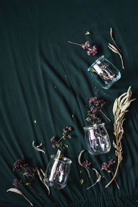 High angle view of flowering plant on table