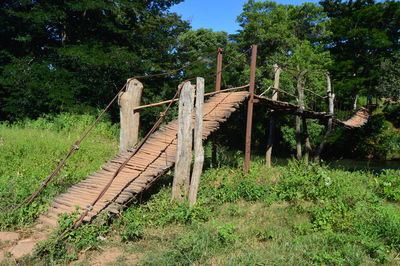 View of wooden structure in the forest