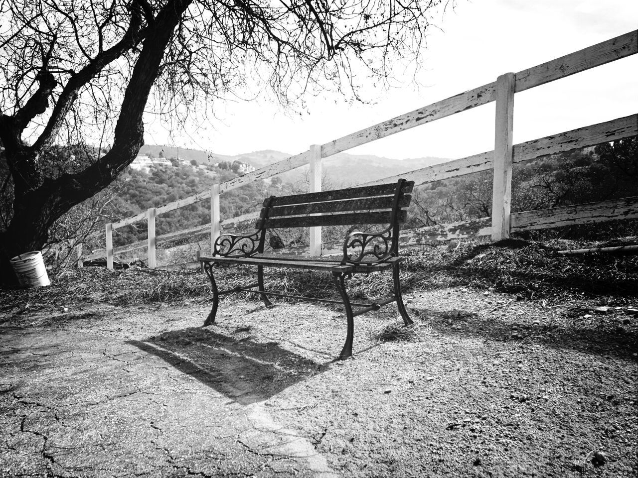 tree, tranquility, empty, clear sky, absence, sky, bench, bare tree, sunlight, built structure, tranquil scene, nature, railing, landscape, day, grass, shadow, field, branch, no people