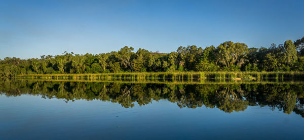 Reflection of trees in calm lake