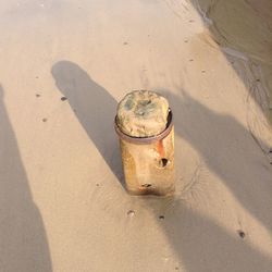 High angle view of shell on sand