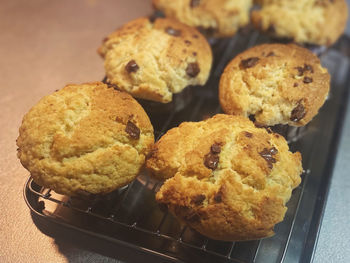 High angle view of cookies