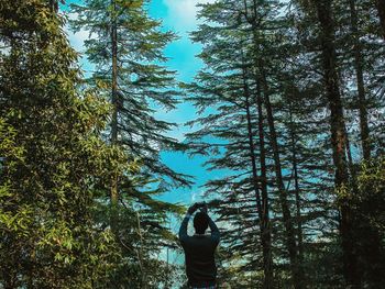 Rear view of man photographing while standing in forest