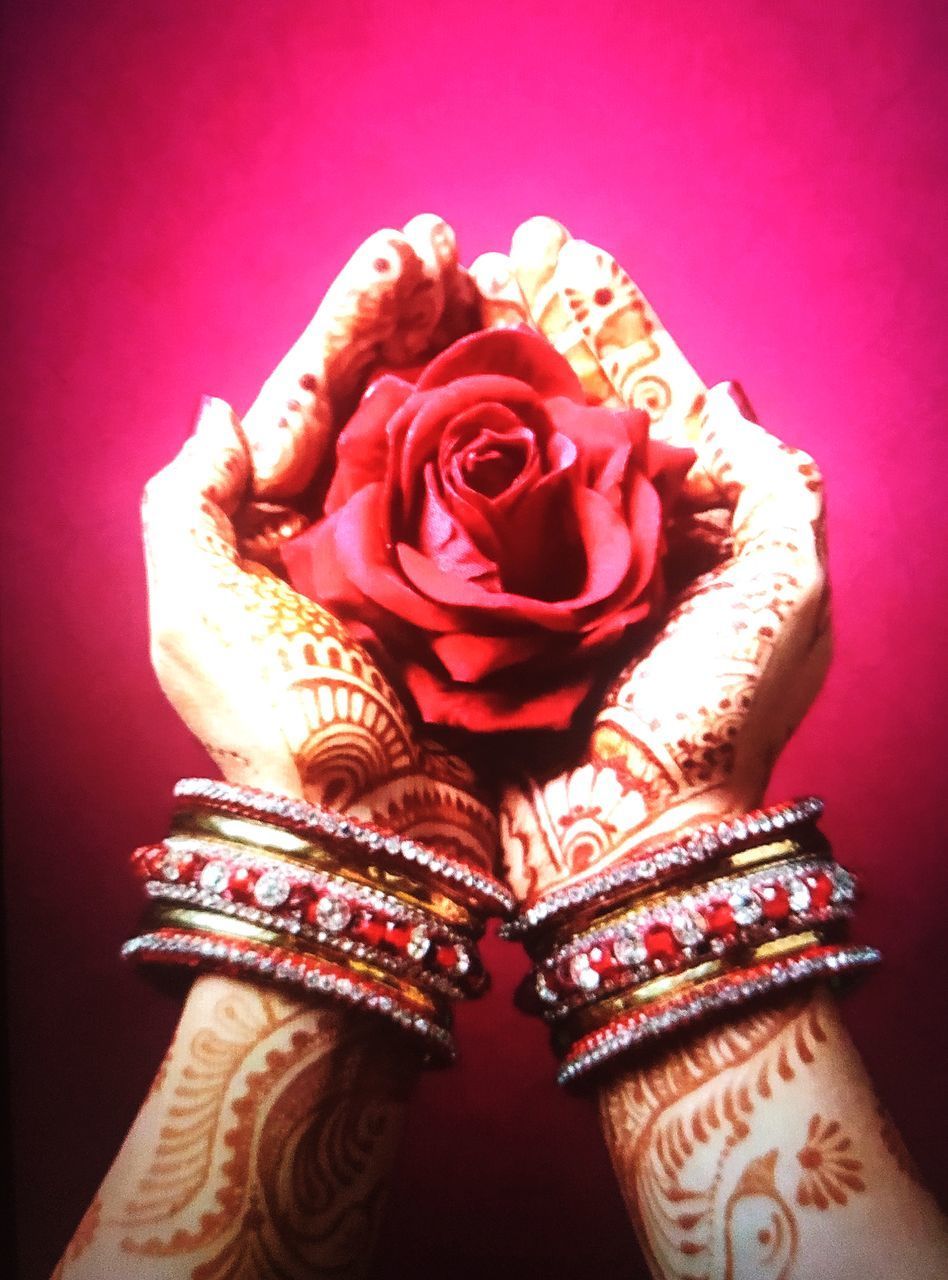 CLOSE-UP OF RED ROSES AGAINST COLORED BACKGROUND