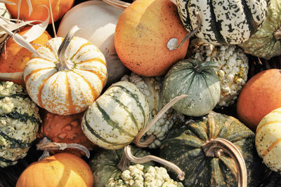 High angle view of pumpkins in market