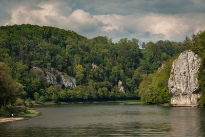 Scenic view of river amidst trees against sky