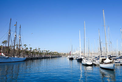 Sailboats in sea