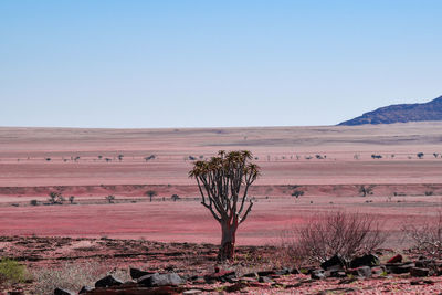 Scenic view of desert against clear sky