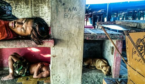 View of dog sleeping outside house