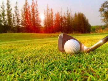 Close-up of ball on golf course