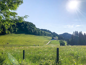 Scenic view of grassy field against sky