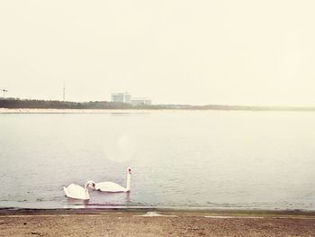 Lifeguard relaxing by sea against clear sky