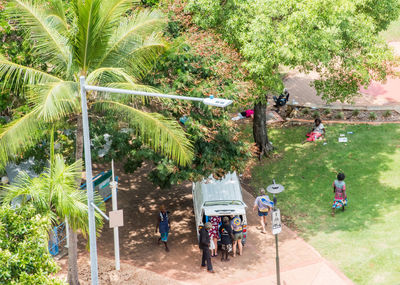 Rear view of people walking on palm trees