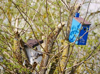 Close-up of birdhouse hanging on tree