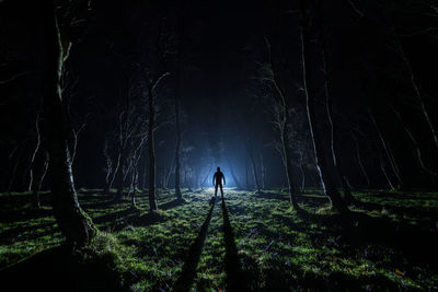 Man walking in forest at night