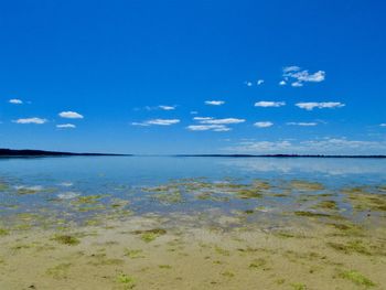 Scenic view of sea against blue sky