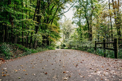 Empty road amidst trees in forest during autumn