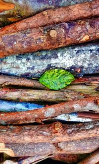 Close-up of rusty metal