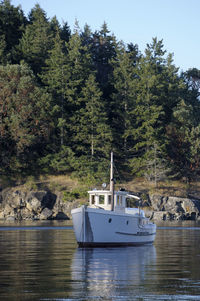 Sailboat on water in forest against sky