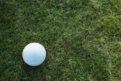 High angle view of white ball on grassy field