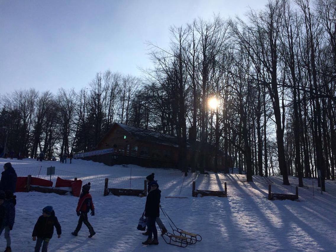 PEOPLE PLAYING ON SNOW COVERED TREES