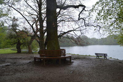 Scenic view of bare trees on landscape against sky
