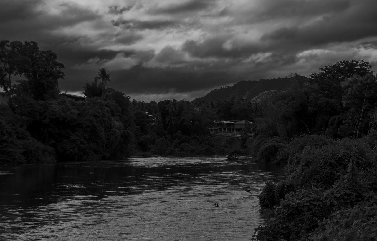 RIVER AMIDST TREES AGAINST SKY